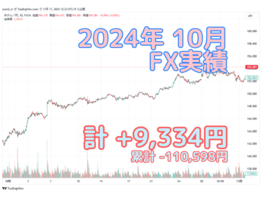 2024年10月FX実績