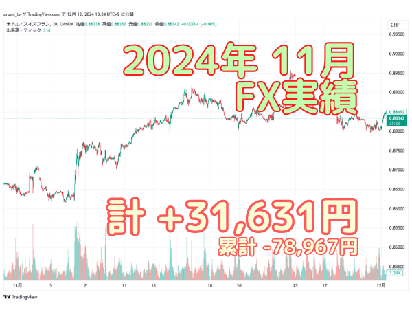 2024年11月FX実績